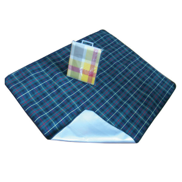 Waterproof picnic mat with handle